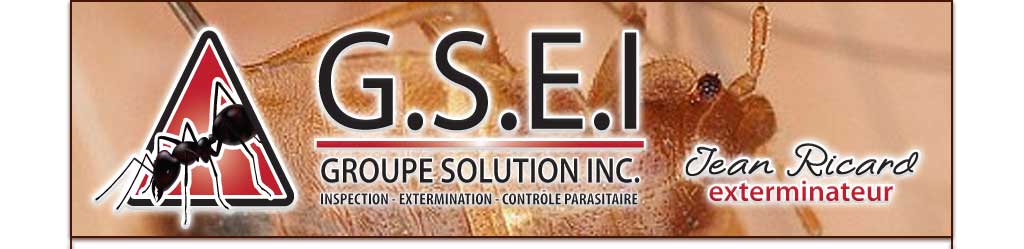 exterminateur shawinigan trois-rivieres
