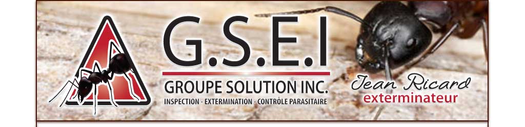 exterminateur shawinigan trois-rivieres