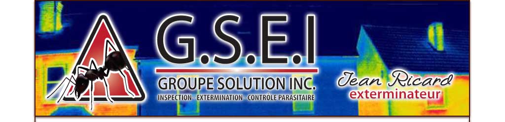 exterminateur shawinigan trois-rivieres